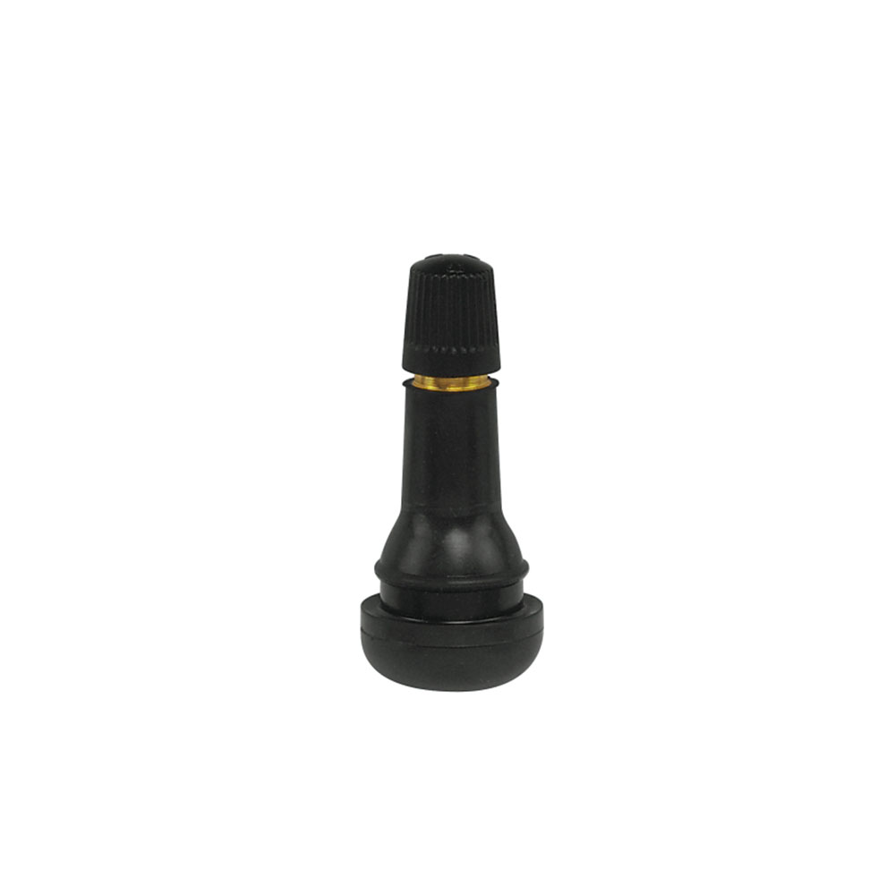 Eco Tubeless ventiel PW TR413, 100 stuks